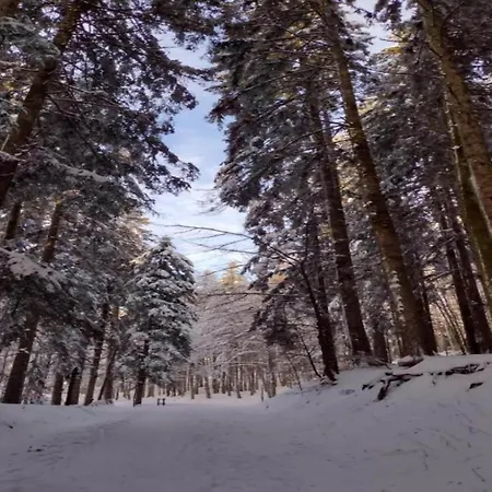 Rustic In Ortignano With Swimming Pool * Castel Focognano